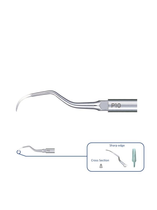 NSK INSERT ULTRASONIQUE P10