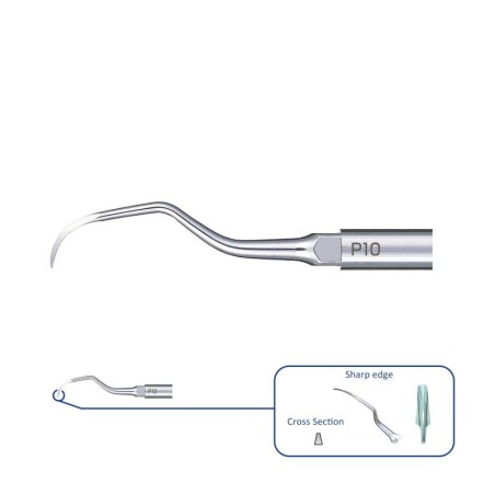 NSK INSERT ULTRASONIQUE P10