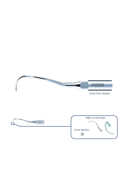NSK INSERT ULTRASONIQUE P25R
