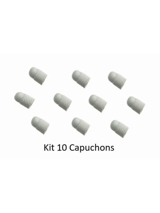 NSK KIT 10 CAPUCHONS INSERTS