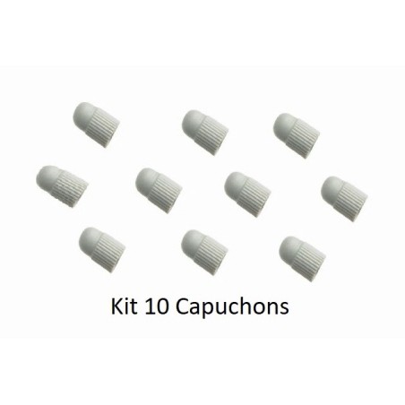 NSK KIT 10 CAPUCHONS INSERTS